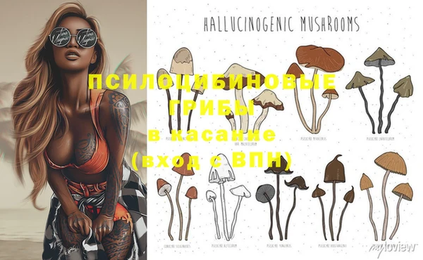 MESCALINE Белокуриха