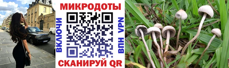 Псилоцибиновые грибы Cubensis  Купить  Печоры 