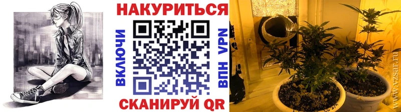 Купить  Печоры  МАРИХУАНА MAZAR 